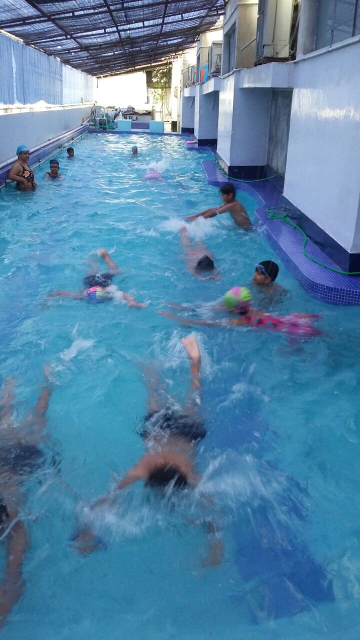 Vidyatree Summer Camp