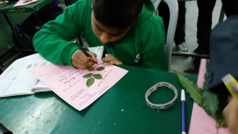 Grade 6  Learning Living Science