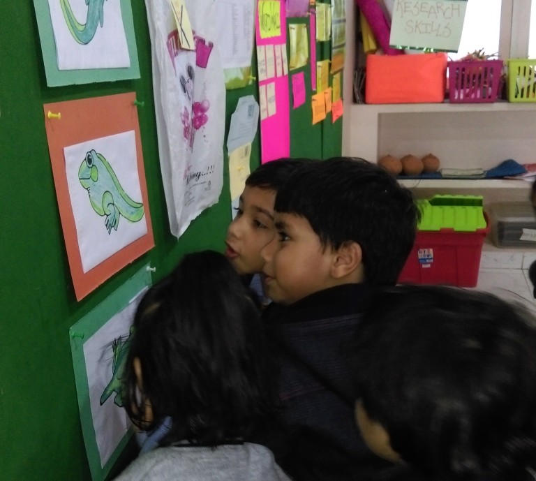 Grade Nursery explores life cycles of animals