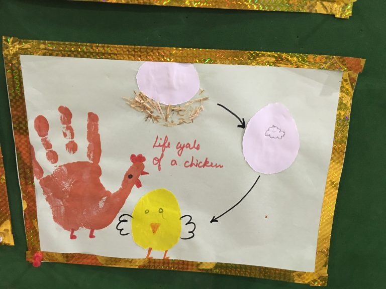 KG kids learning the life cycle