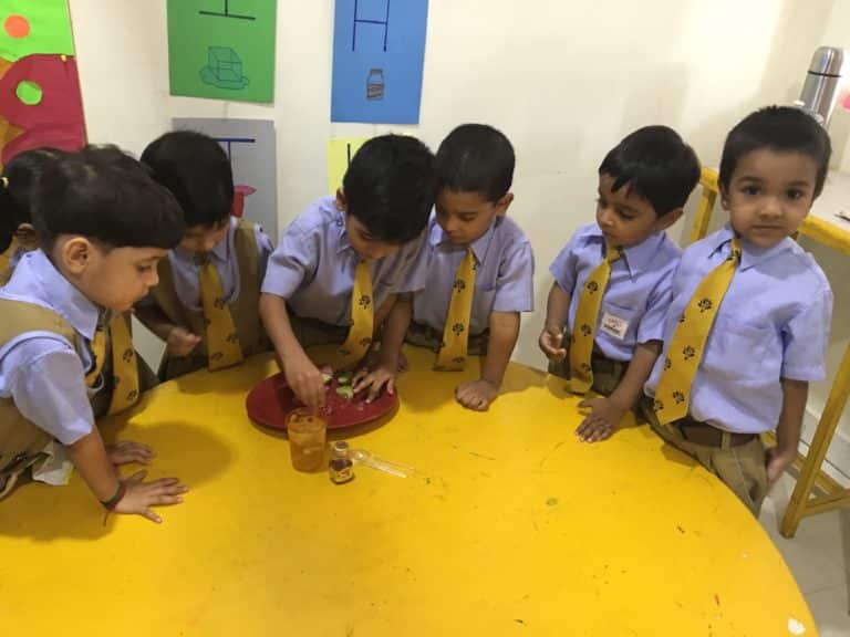 Connection with Alphabets