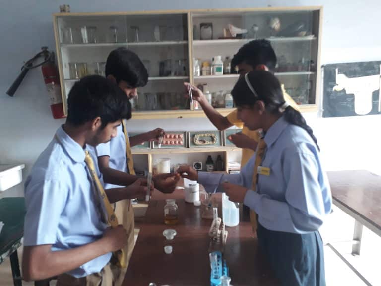 Experiential learning in Biology