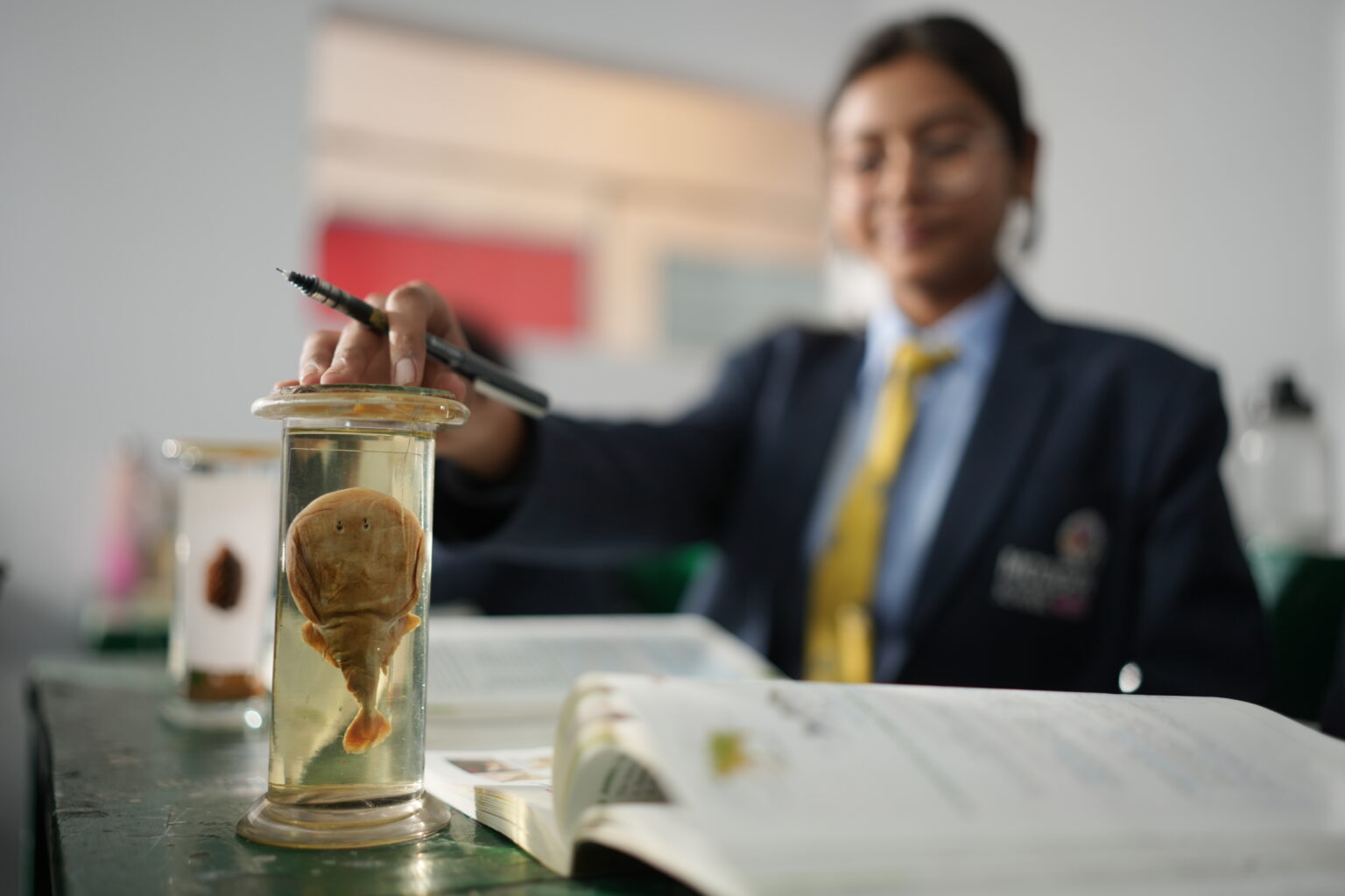 A hands-on Biology class